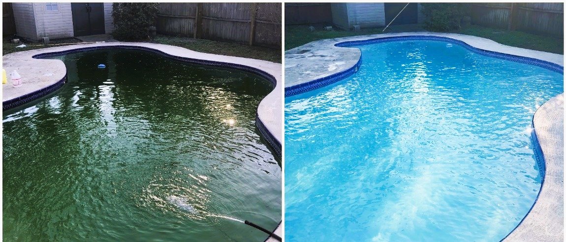 Green pool before and after Tortuga Pools cleanup, side by side